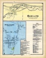 Oakland, Nunda Station, Livingston County 1872